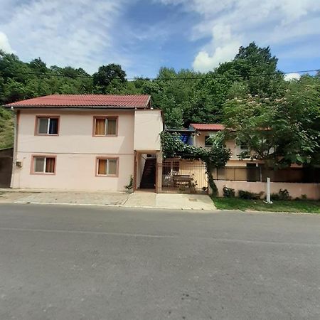 Casa Iza Apartment Baile Herculane Exterior photo
