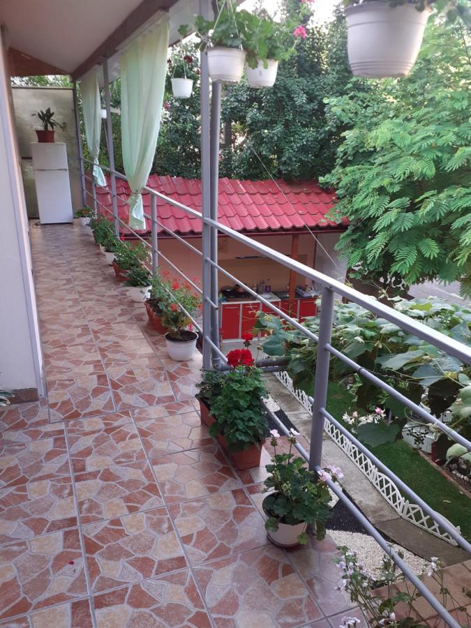 Casa Iza Apartment Baile Herculane Exterior photo